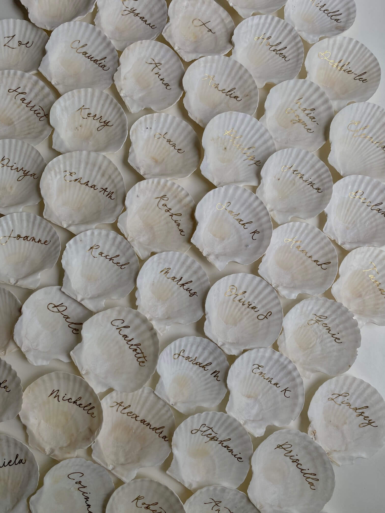 Sea shell calligraphy.